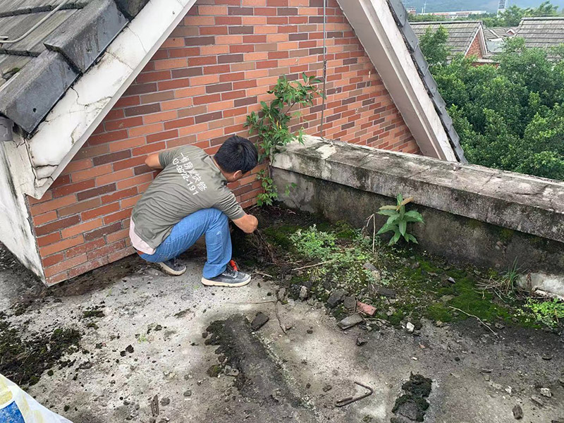 屋頂屋面基層清理